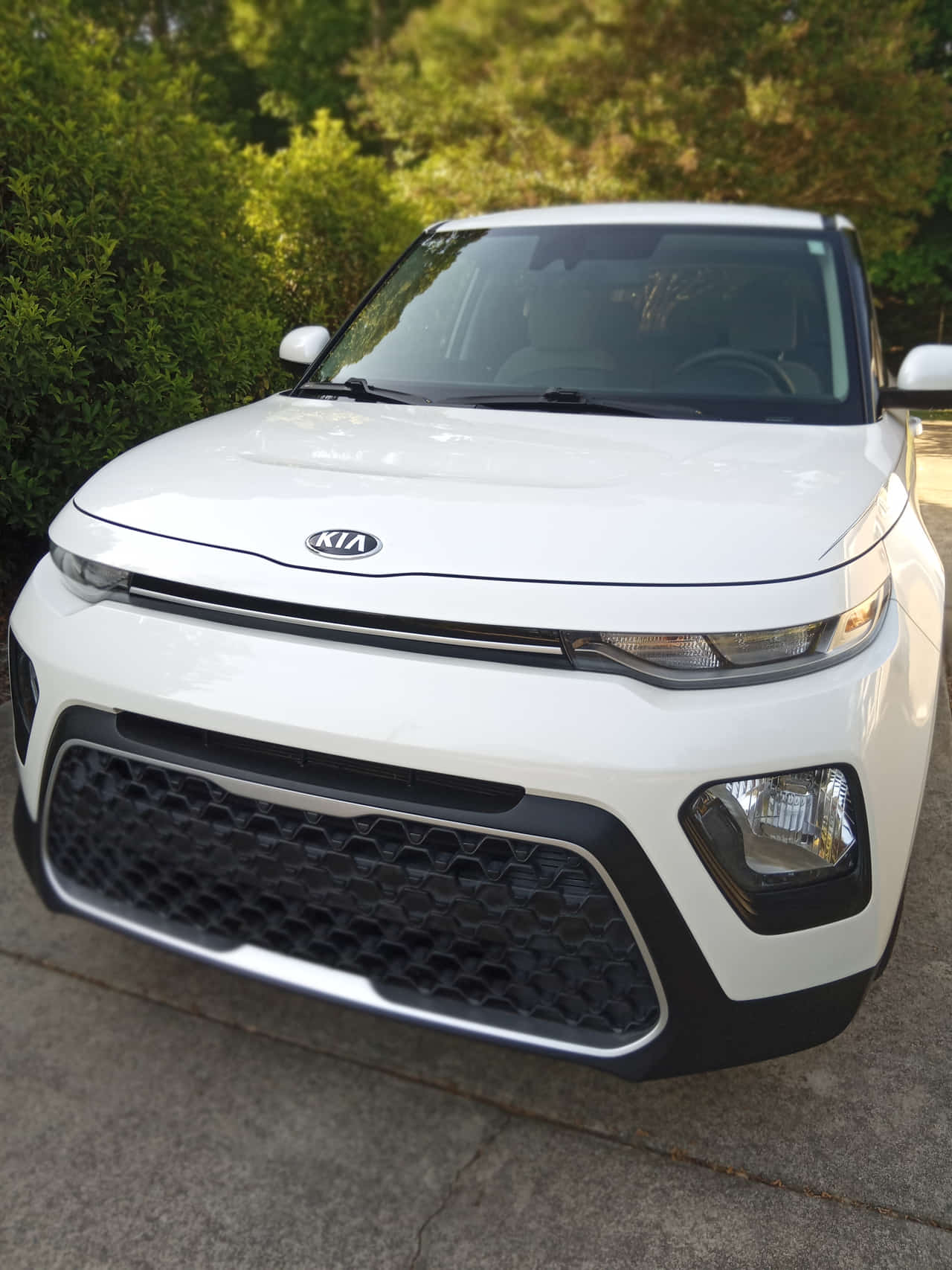 Car Preview