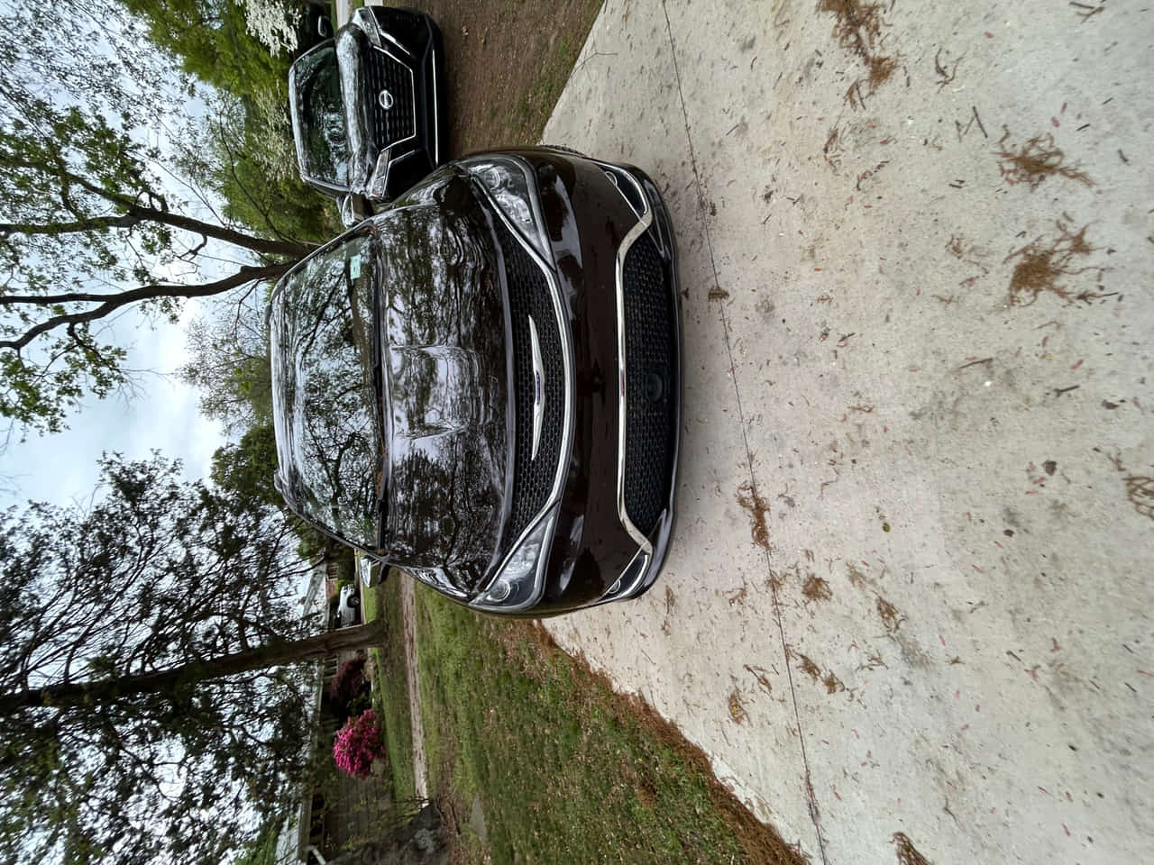 Car Preview