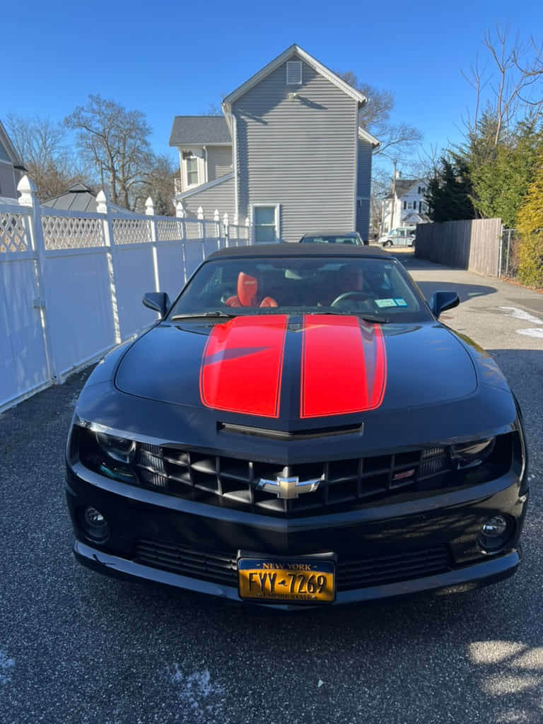 Car Preview
