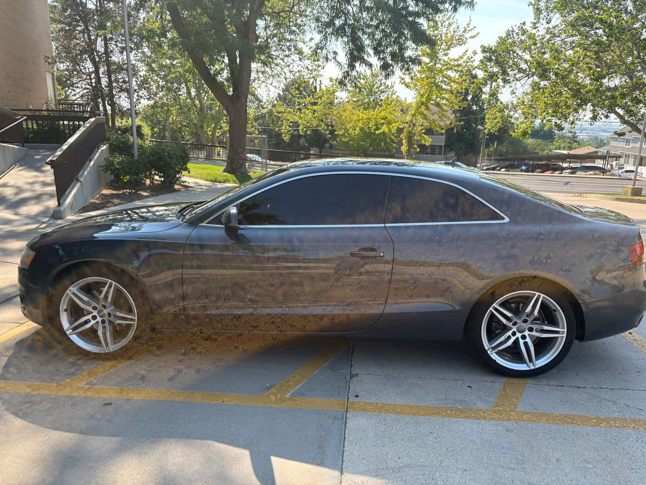 Car Preview