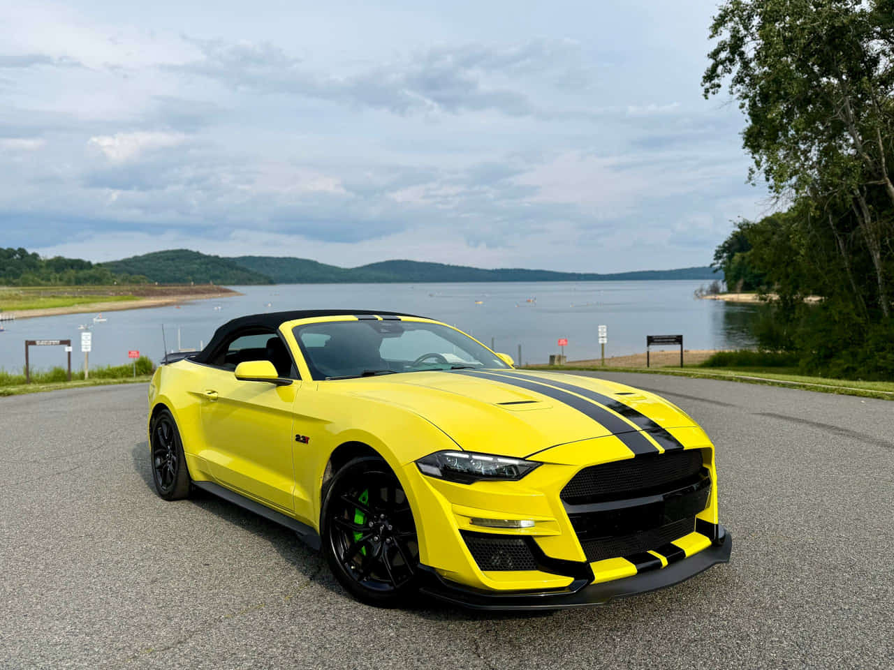 Car Preview